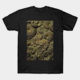 Ammonites. Sedgwick Museum of Earth Sciences, Cambridge, UK T-Shirt